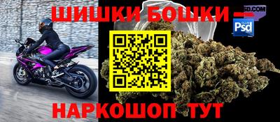 прущие грибы Мариинск