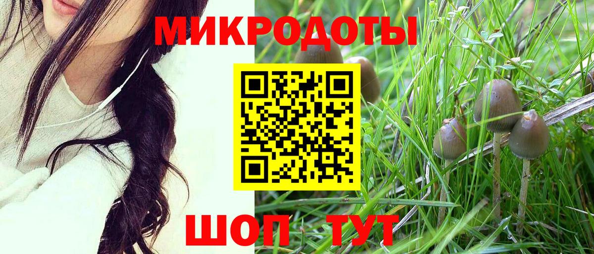Кохма  Псилоцибиновые грибы GOLDEN TEACHER  Вход с VPN 