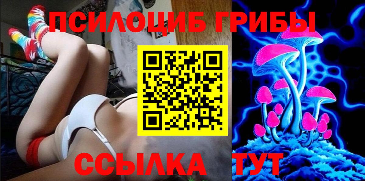 Псилоцибиновые грибы Cubensis Кохма